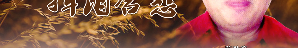 天地圣苑、思忆集