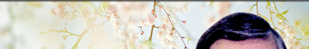 天地圣苑、思忆集