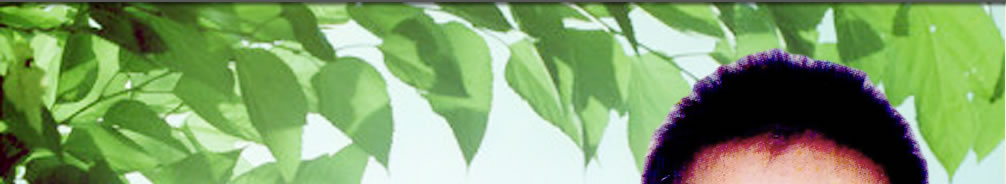 天地圣苑、思忆集