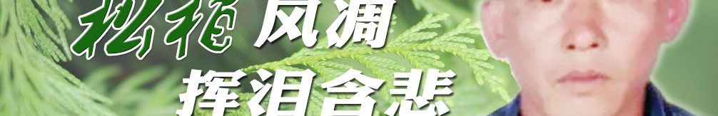 天地圣苑、思忆集