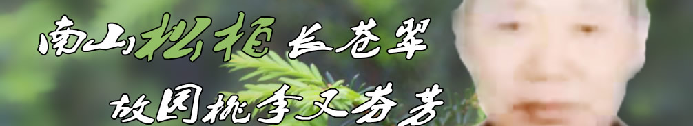 天地圣苑、思忆集