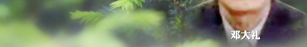 天地圣苑、思忆集