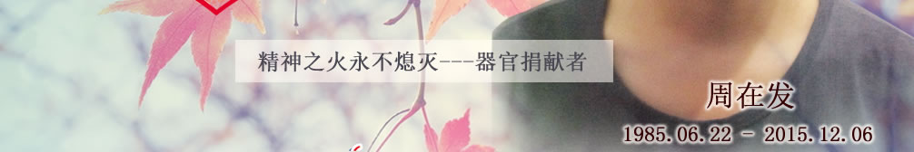 天地圣苑、思忆集