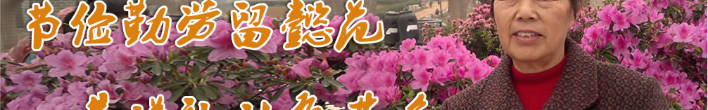 天地圣苑、思忆集